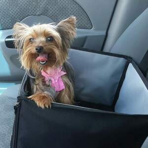 Fundraising Page: Dani Logan